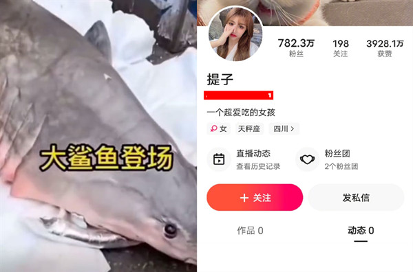 快手网红提子被认定食用大白鲨，短视频账号已清空！