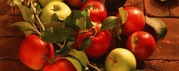 晚上吃苹果的好处和坏处 晚上吃苹果对身体有什么好处和坏处呢